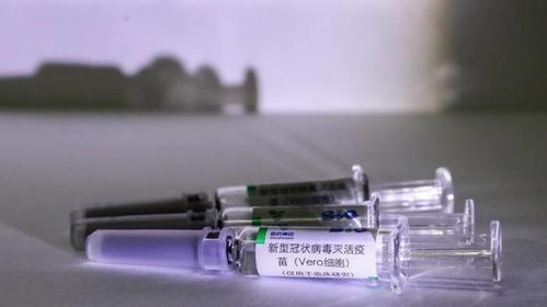 正式启动 我国新冠病毒灭活疫苗获批进入临床试验